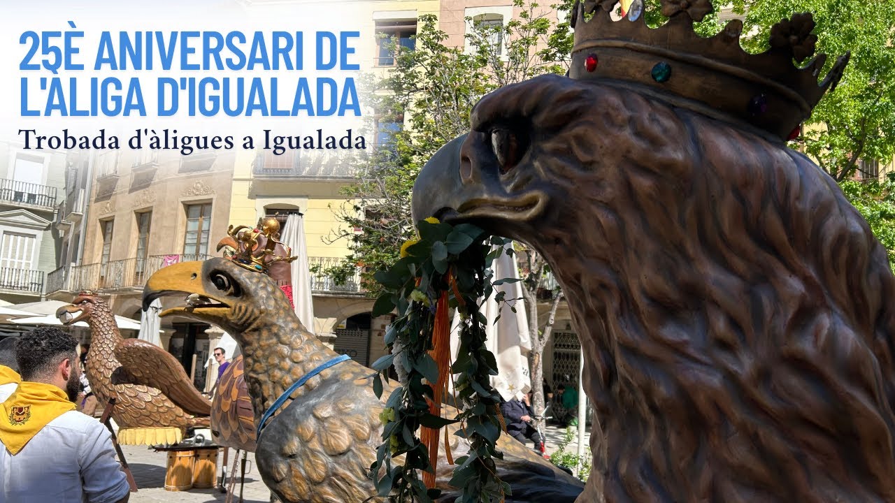 Trobada d'àligues a Igualada - 25è aniversari de l'àliga d'Igualada