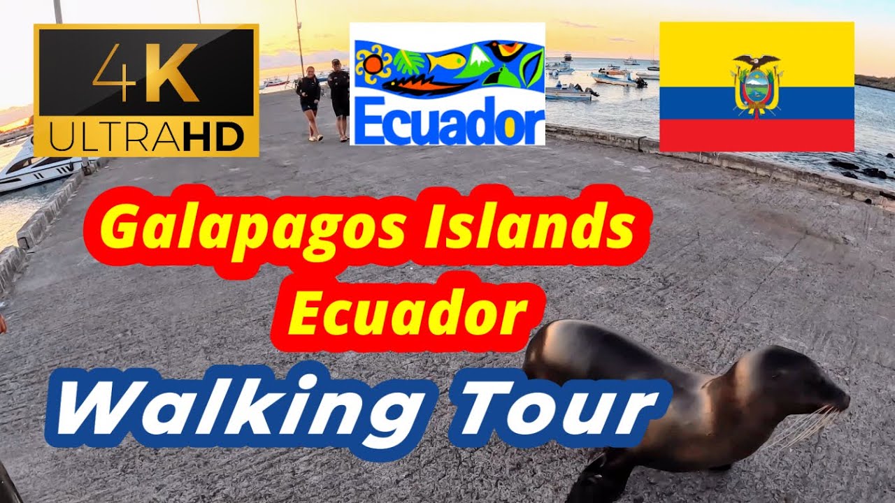 🇪🇨【4K 60fps】WALK - GALAPAGOS ISLANDS  ~ walking Tour - Ecuador
