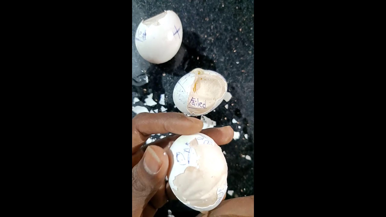 Raw Egg Peeling Challenge Perfect live:
