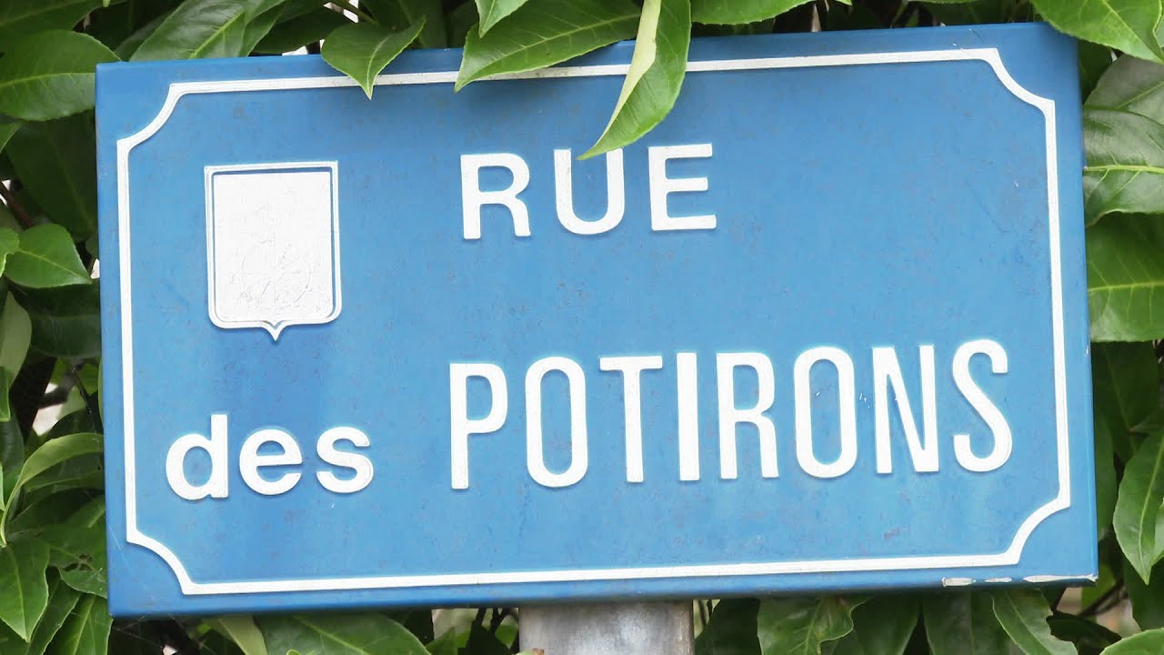 La Chapelle-sur-Erdre : la fabrique des potirons de Grégory et Fabienne