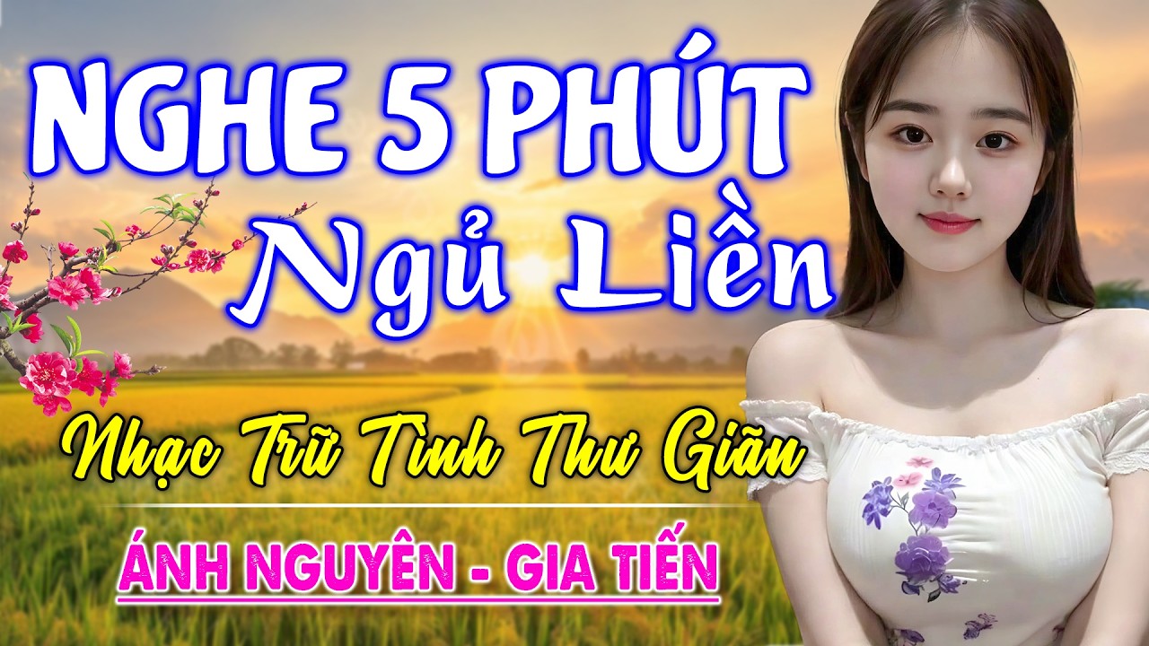 Nghe 15 phút ngủ liền 😴 NHẠC BOLERO DỄ NGHE, DỄ NGỦ - LK Nhạc Vàng Chọn Lọc Bài Hay KHÔNG QUẢNG CÁO