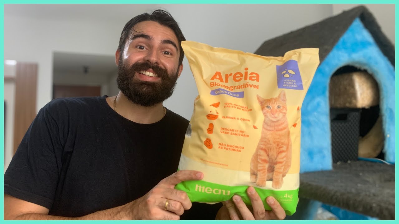 Testei a Areia Meau Grãos Finos Com Meus Gatos