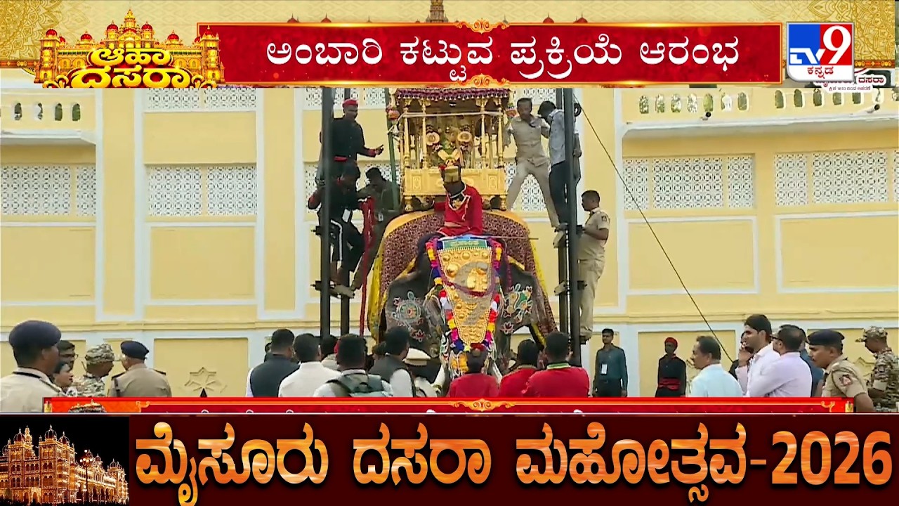 Mysuru Dasara 2026: Golden Howdah Is Being Tied To Dasara Elephant