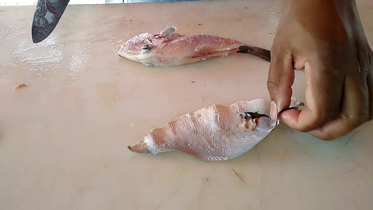 LIMPANDO O PEIXE PORQUINHO (PERUÁ) TECNICA NOVA.