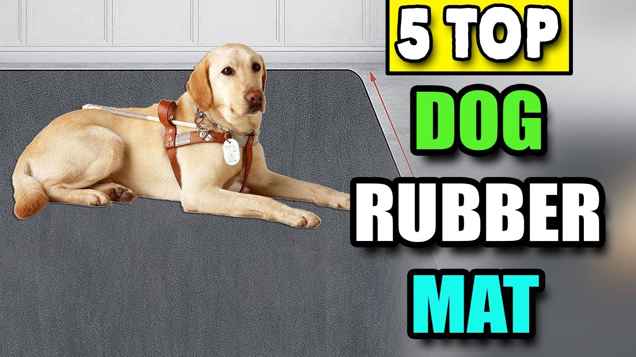 Dog Playpen Mat | Dogs Rubber Mat Waterproof for Playpen