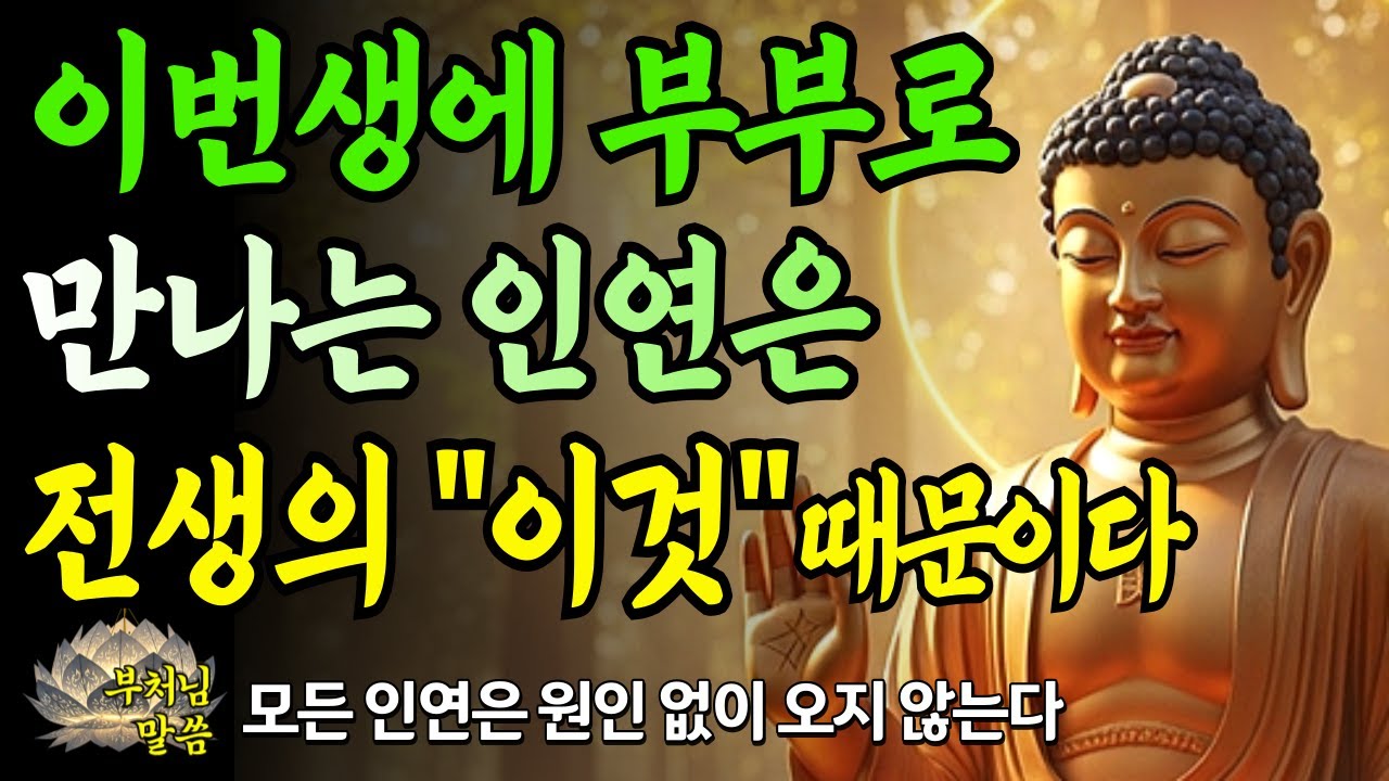 부부는 어떤 인연으로 만날까? / 전생의 인연이 모든 걸 설명합니다/ 부처님말씀 / 오디오북