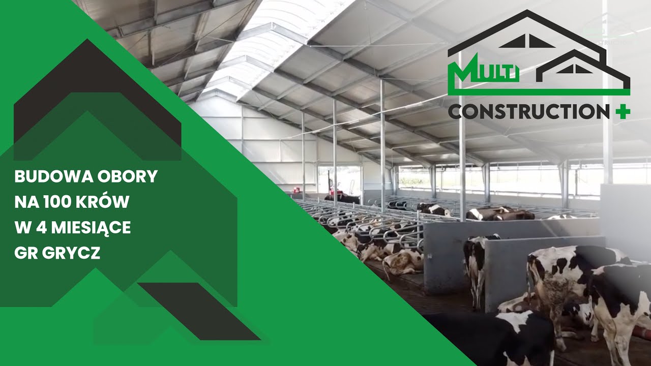 Budowa obory wolnostanowiskowej na 100 krów - GR GRYCZ - wykonawca obór MULTI CONSTRUCTION PLUS