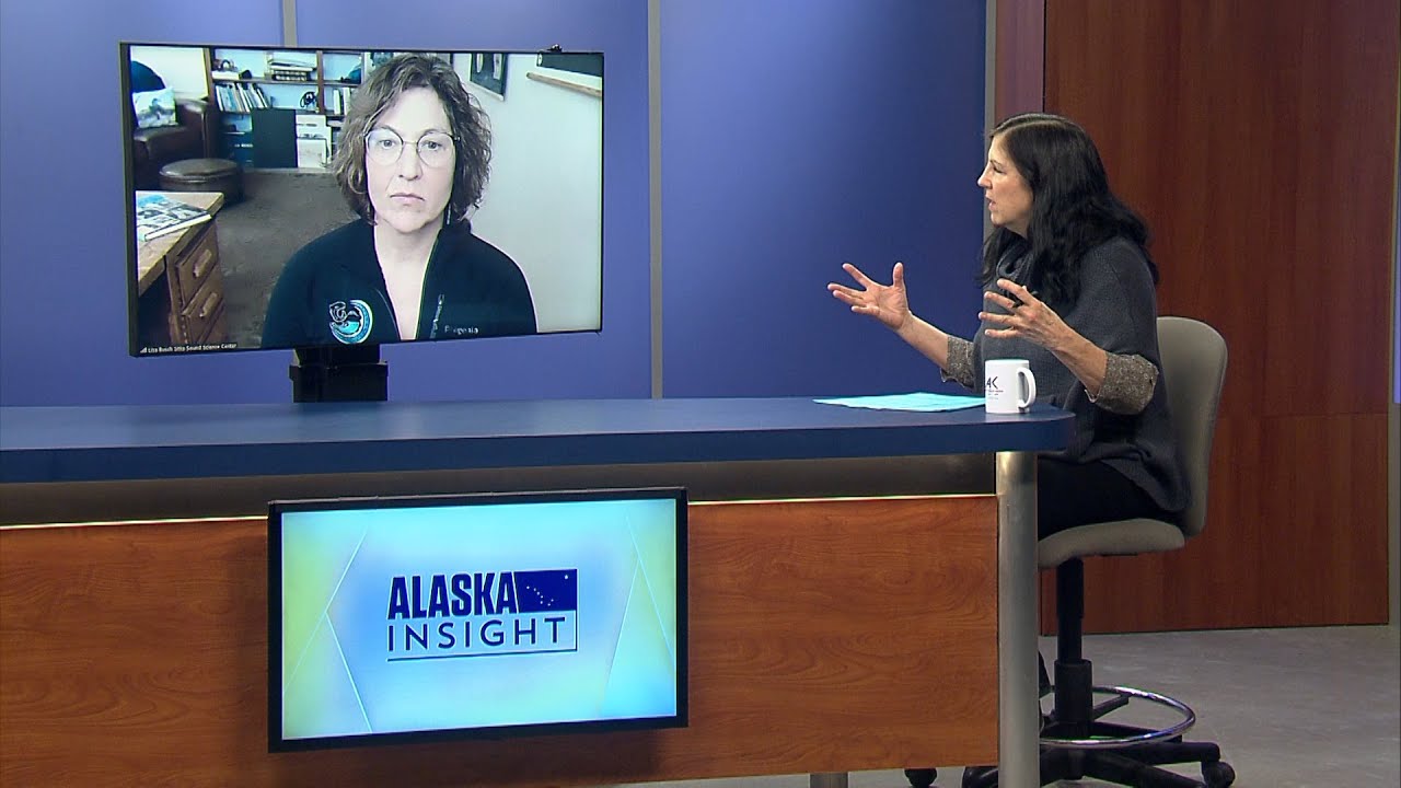 Collaborative research aims to better predict landslides in Southeast Alaska | Alaska Insight