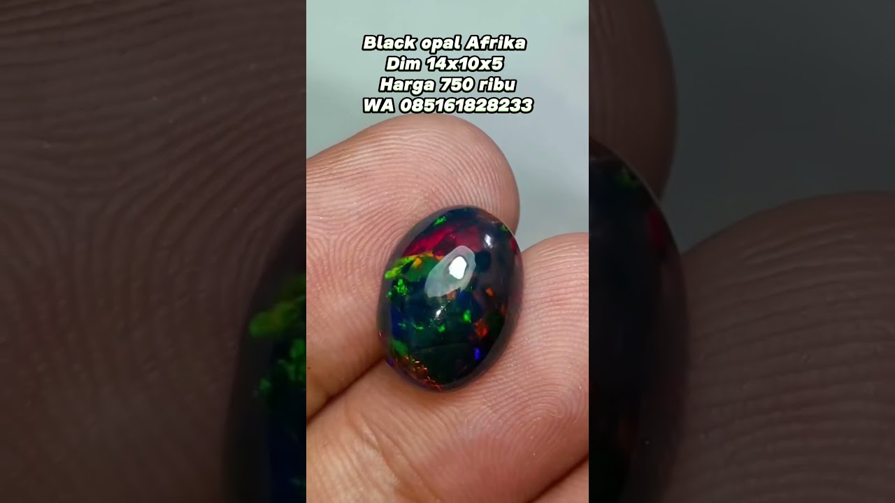 Batu black opal Afrika full jarong 