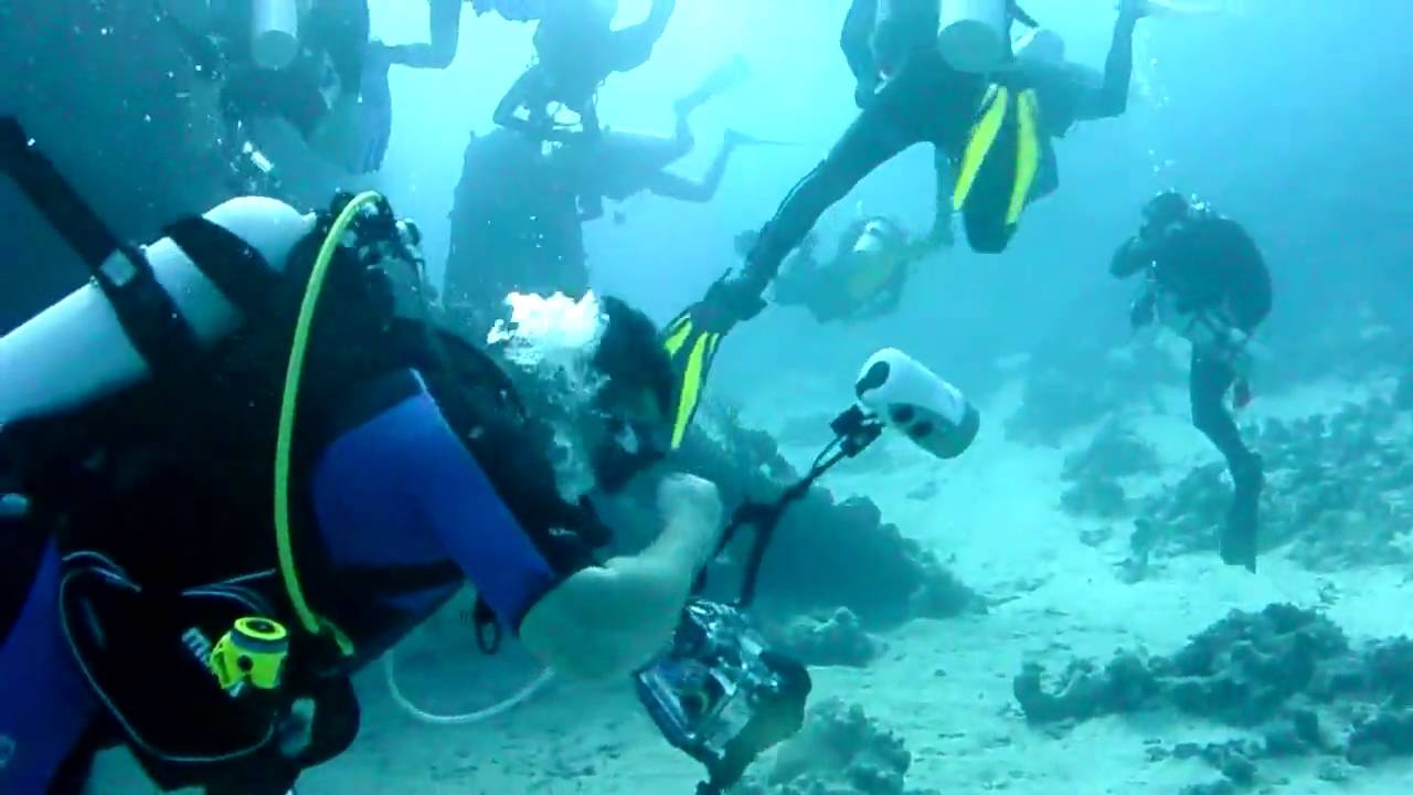 Diving Carnatic wreck, Sha'ab Abu Nuhas, Egipt