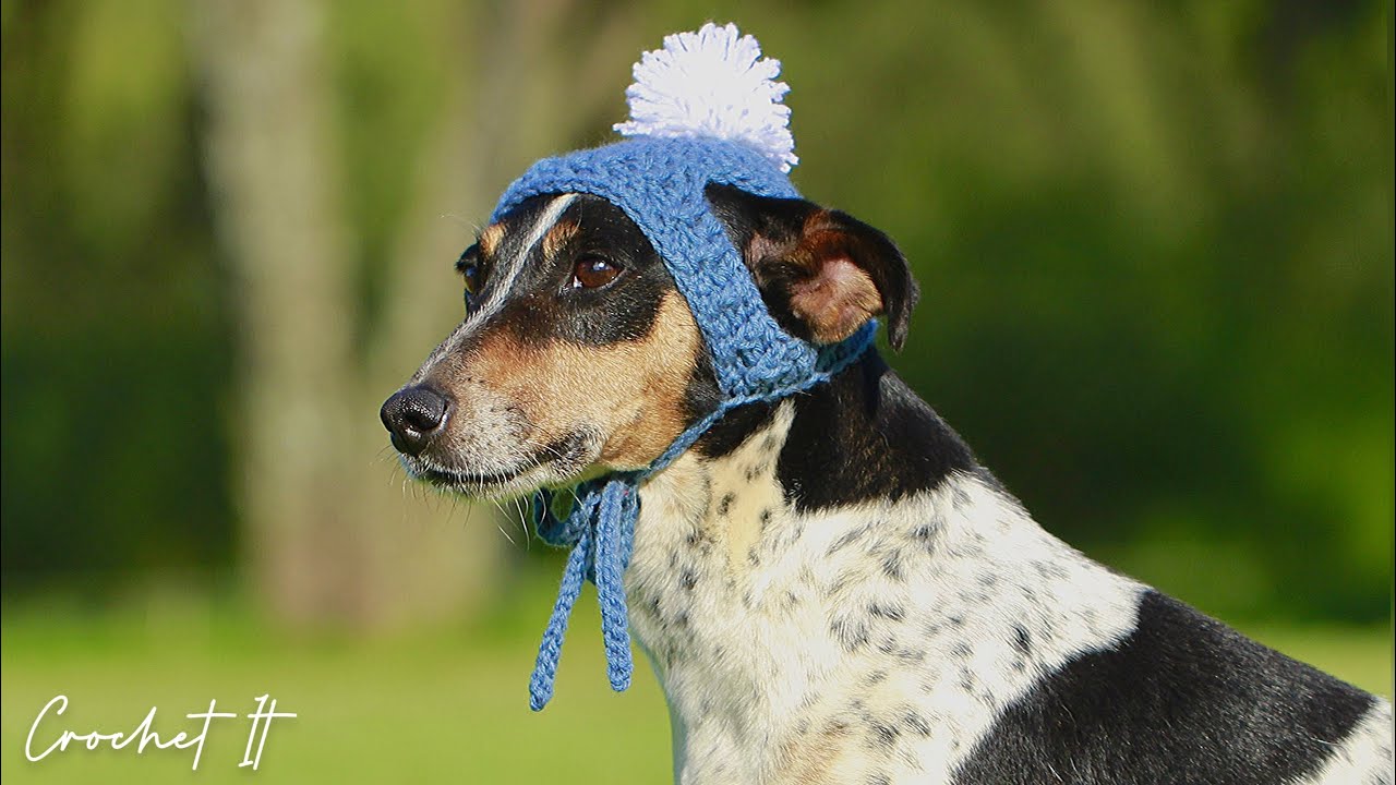 Crochet Dog Beanie Hat | Medium | Crochet It