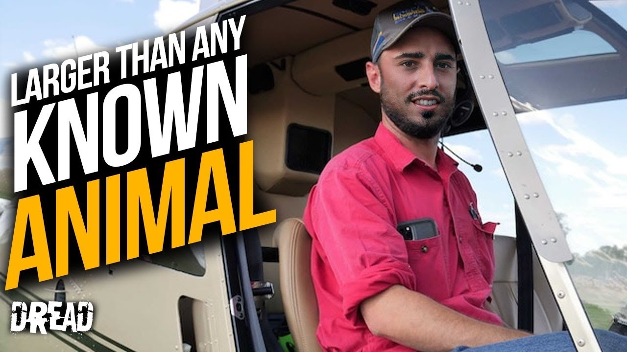 ВНИМАНИЕ: пилот вертолета обнаружил существо в Йеллоустонском национальном парке