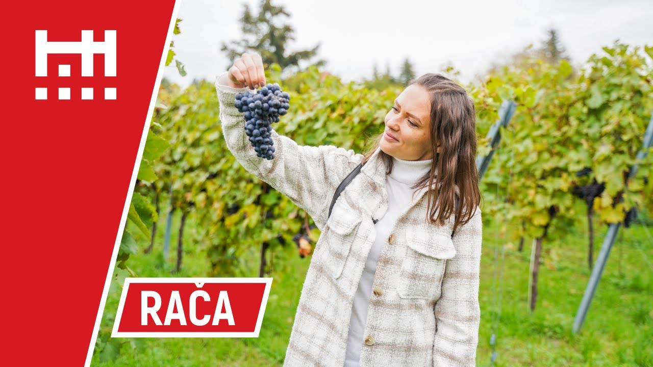 Nielen za vínom do Rače | Turistom vo vlastnom meste