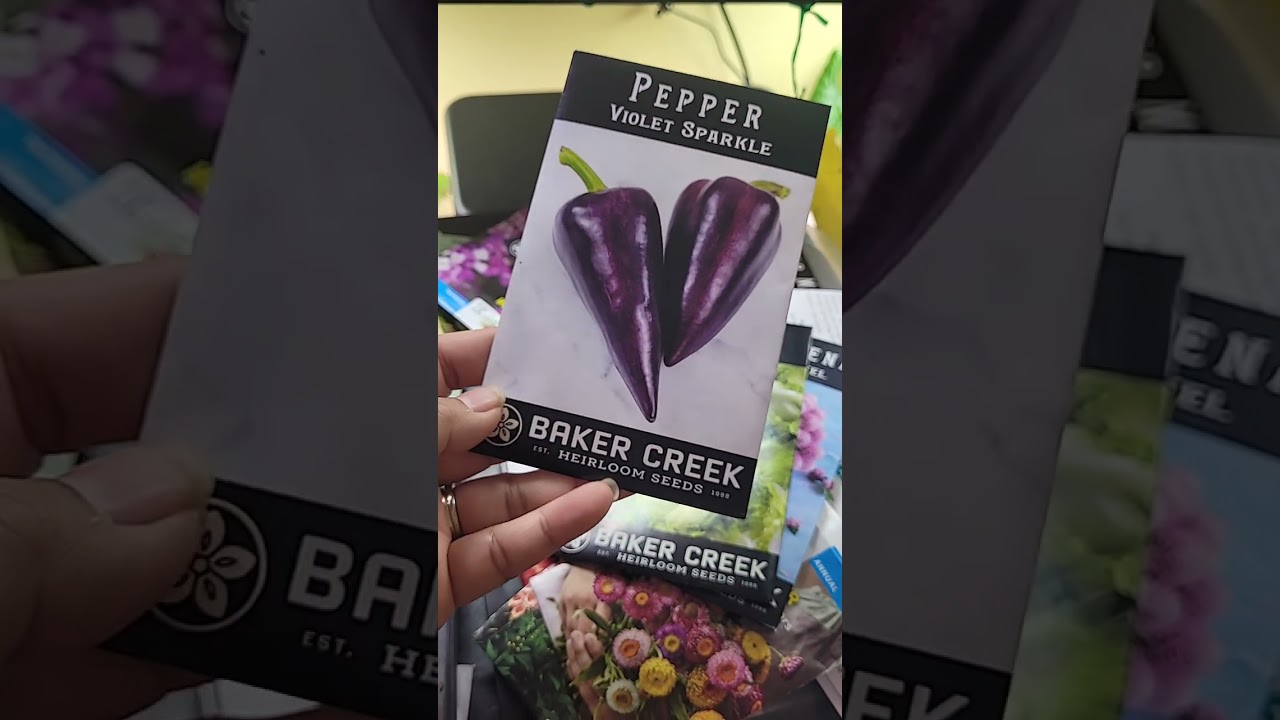 My Seed Haul 2026 | Asian2Garden, Burpee, Baker Creek | Chicagoland Area 