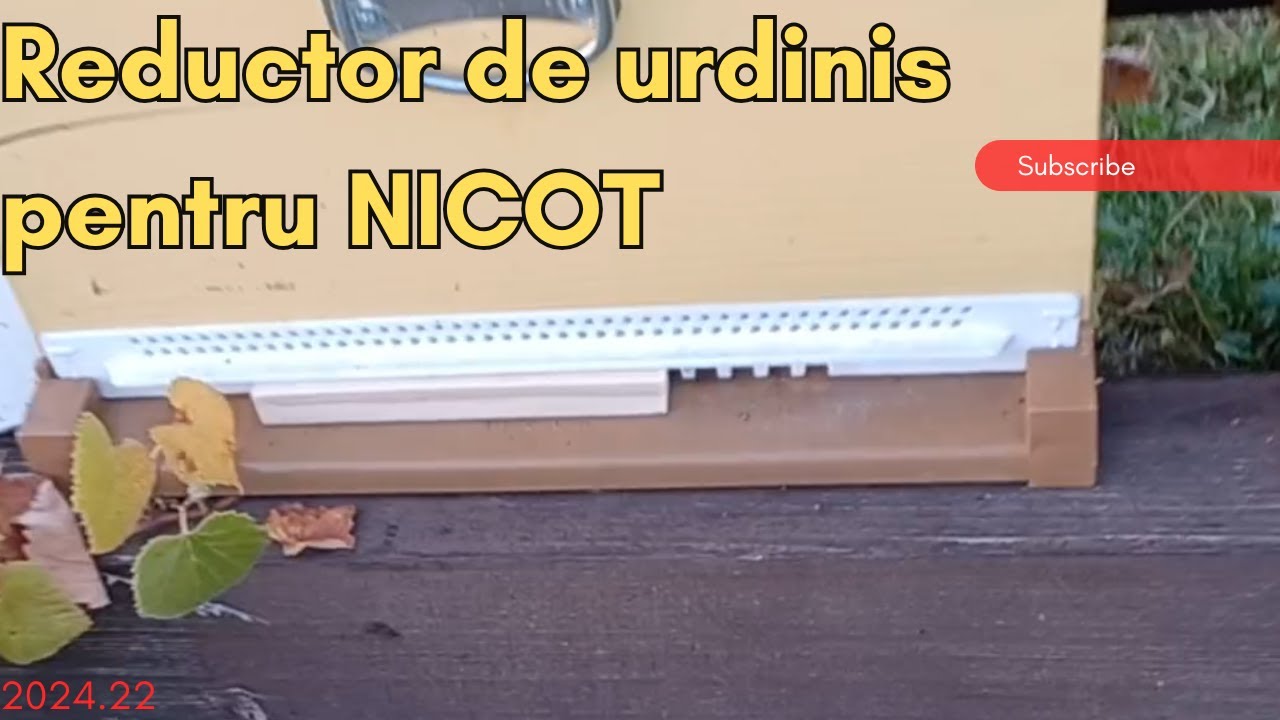 Reducem urdinisurile la stupii cu fund Nicot