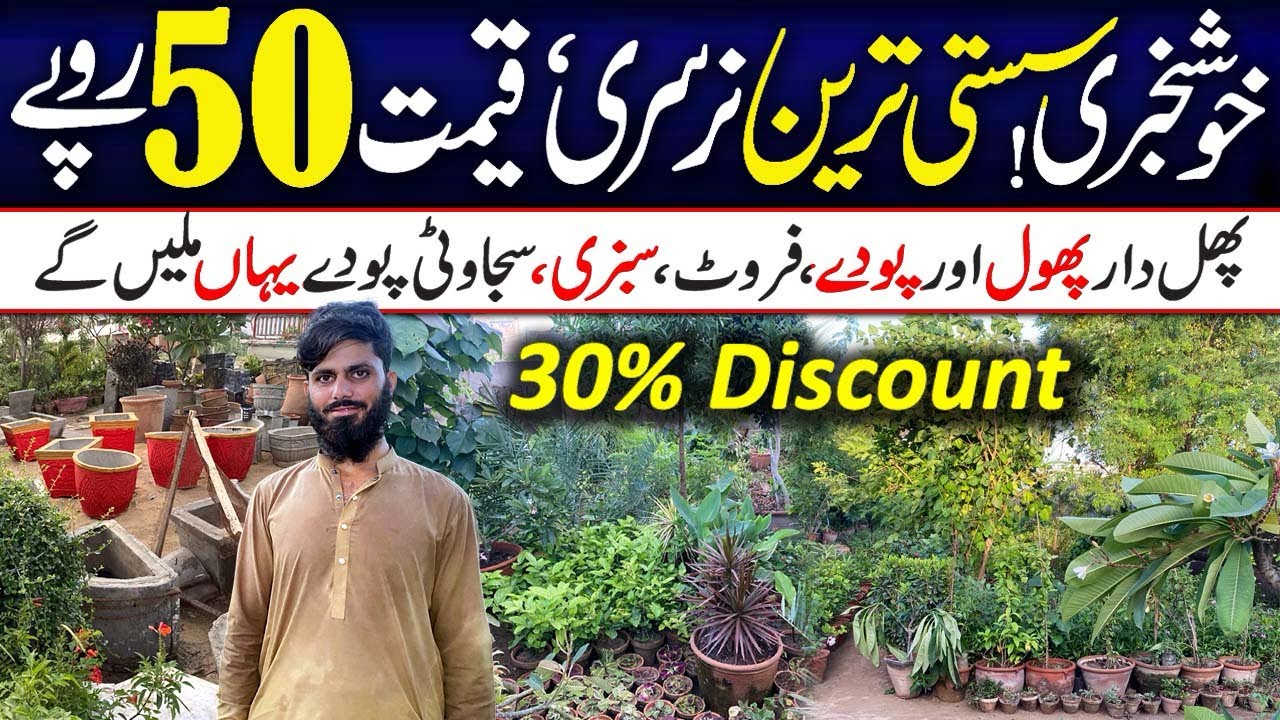 Cheapest Nursery in Karachi | Best Nursery Karachi | Indoor Outdoor plants 🌱 🪴RabiyaKhan98