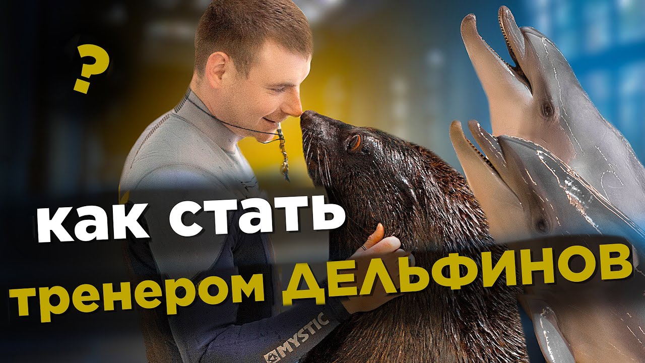 КАК Я СТАЛ ТРЕНЕРОМ морских млекопитающих. Интервью с тренером дельфинов. Часть 1.