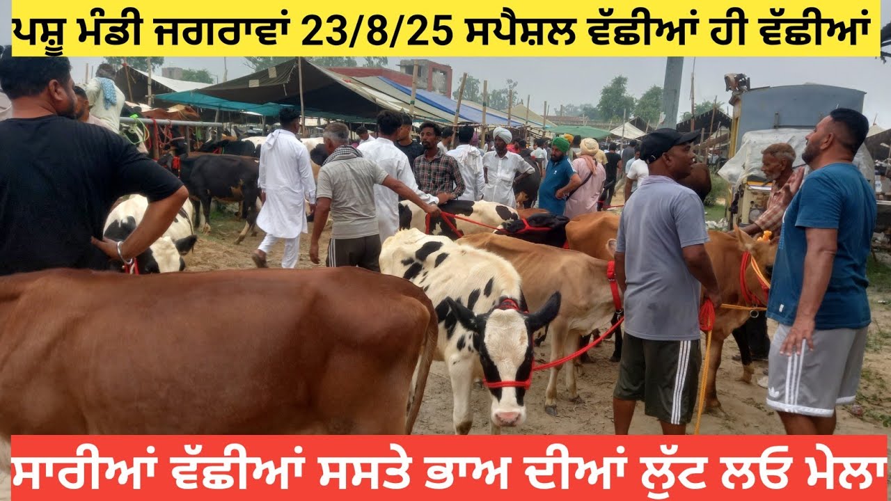 ਸਪੈਸ਼ਲ ਵੱੱਛੀਆਂ ਹੀ ਵੱੱਛੀਆਂ ਲੁੱਟ ਲਓ ਮੇਲਾ ਟਰੱਕ ਭਰ ਕੇ ||