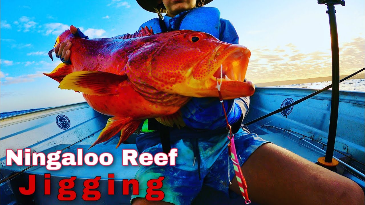 Fish after Fish JIGGING on Ningaloo Reef PT 1 - EP 51