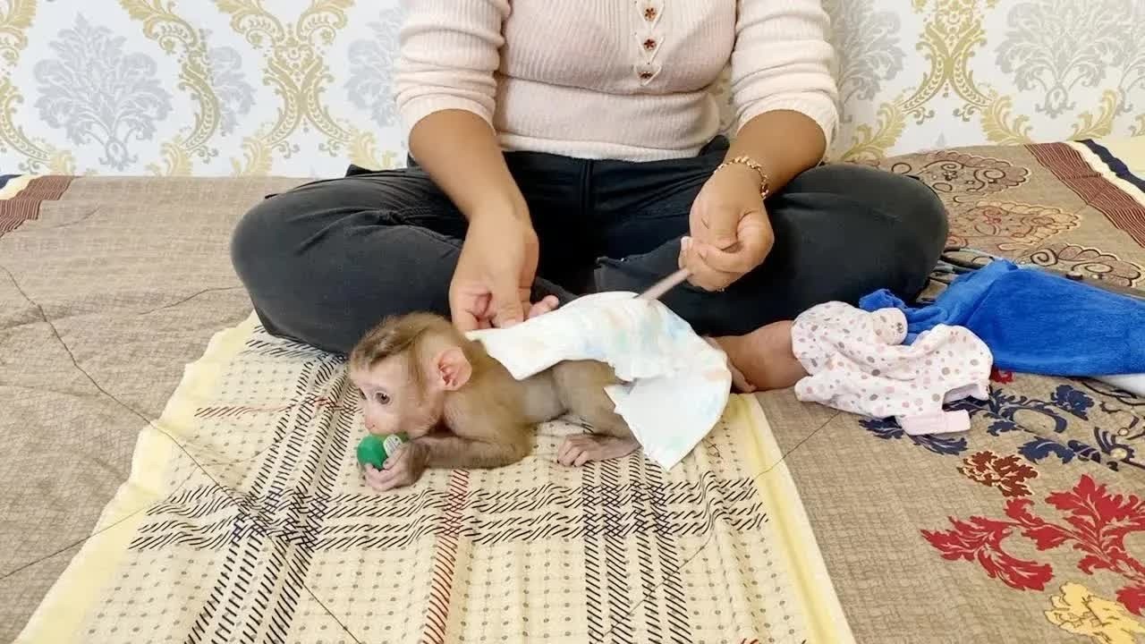 Most Respect Baby DAM Laying Down Give Wearing Diaper For Him