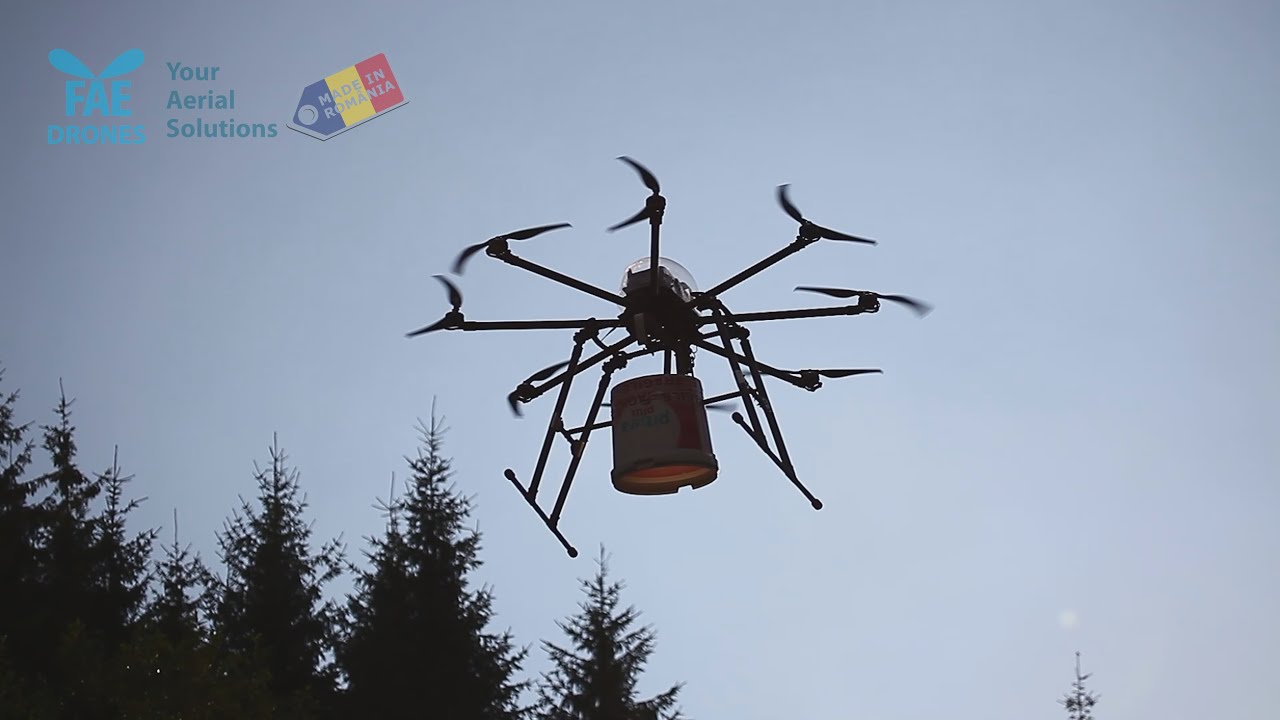Hranind puii de urs cu Drona FAE 1115 octa