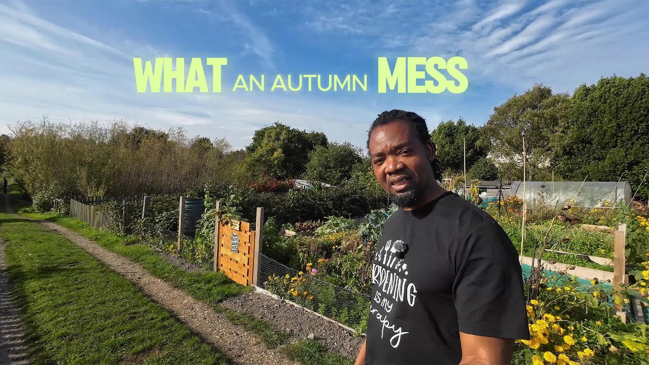 What Autumn Mess ? Don't throw away your autumn mess.