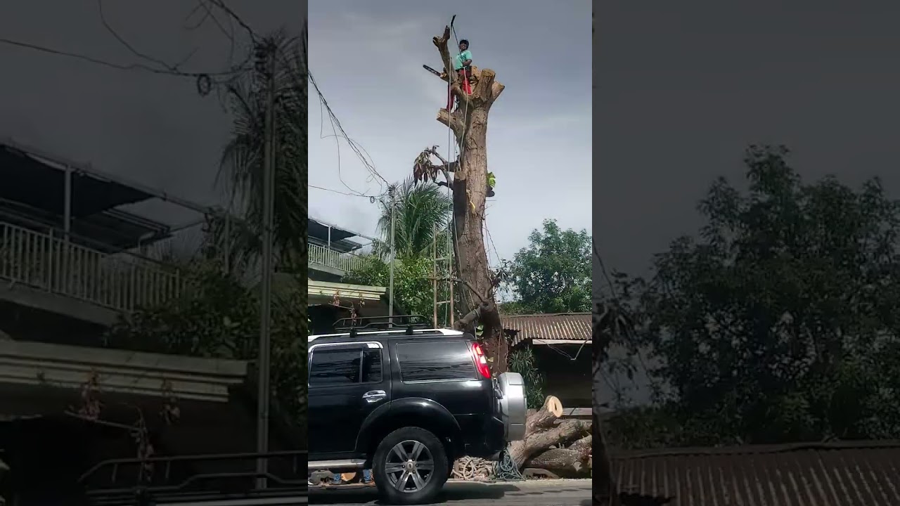 Wood cutting skills..