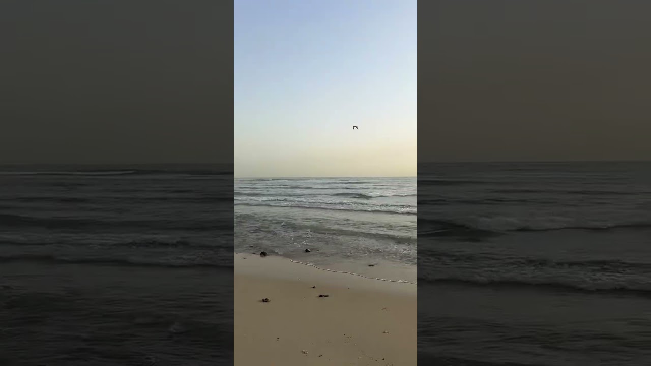 شاطىء الفنطاس Festival Land دولة الكويت 