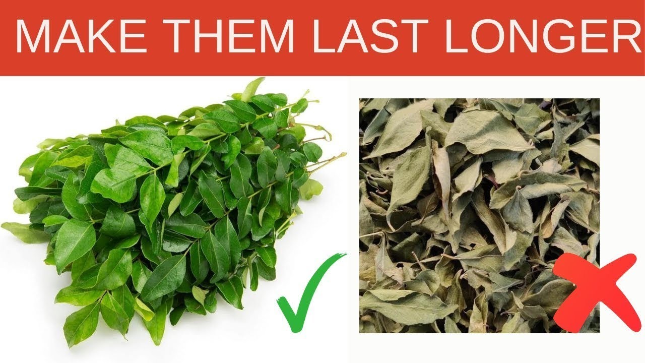 Chef on How to Keep Curry Leaves Fresh in Fridge - Part 2