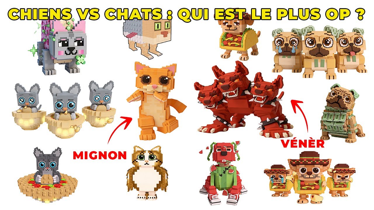 Tous les Brainrots CHATS VS CHIENS  : qui a les meilleurs stats ?! Steal a brainrot FR