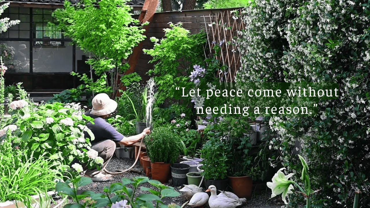 Let peace come without needing a reason.../a playlist for quiet hours/