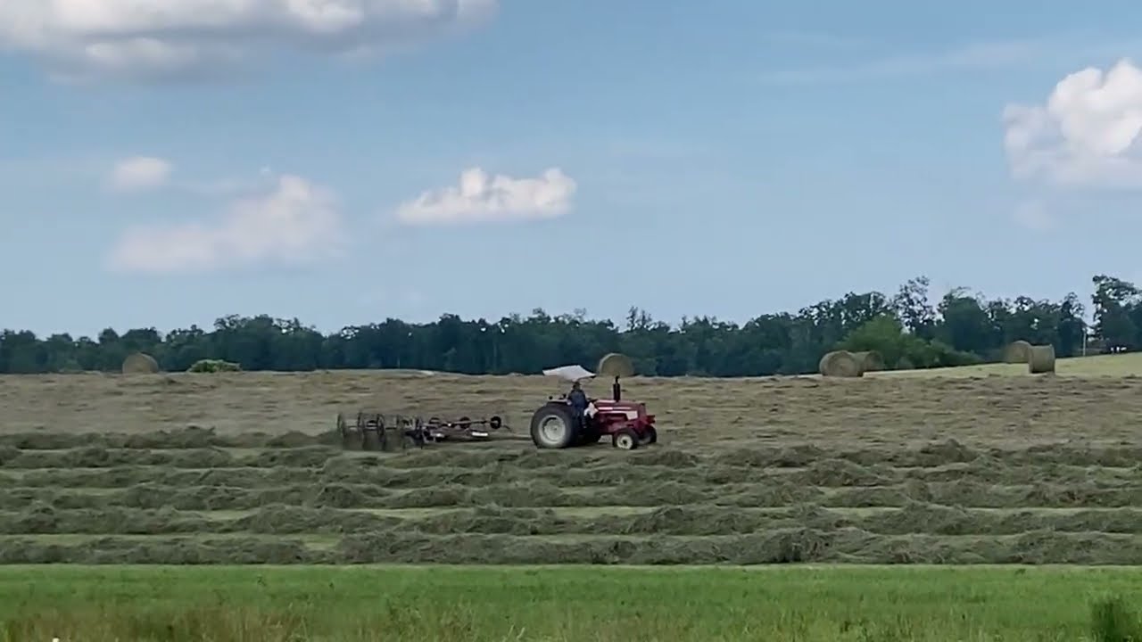Raking Hay With V Rake
