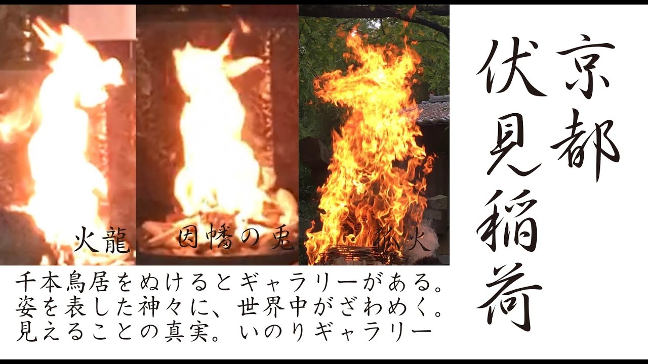 京都伏見稲荷参道　ギャラリー　ライブカメラ