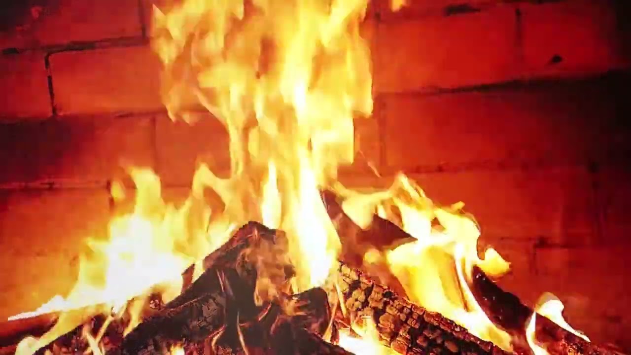 ЖЕНЩИНЫ По категориям