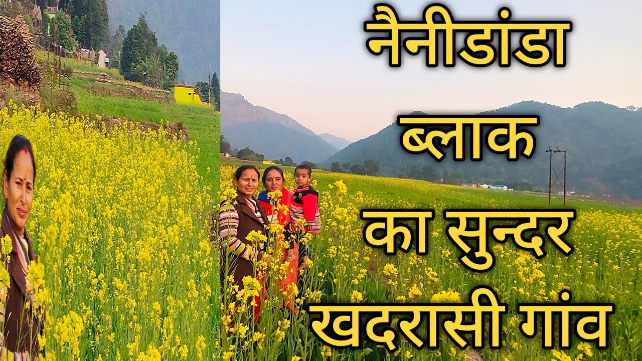 नैनीडांडा का सबसे खूबसूरत गांव || Pahadi Lifestyle Vlog || sushmapahadanvlogs ||