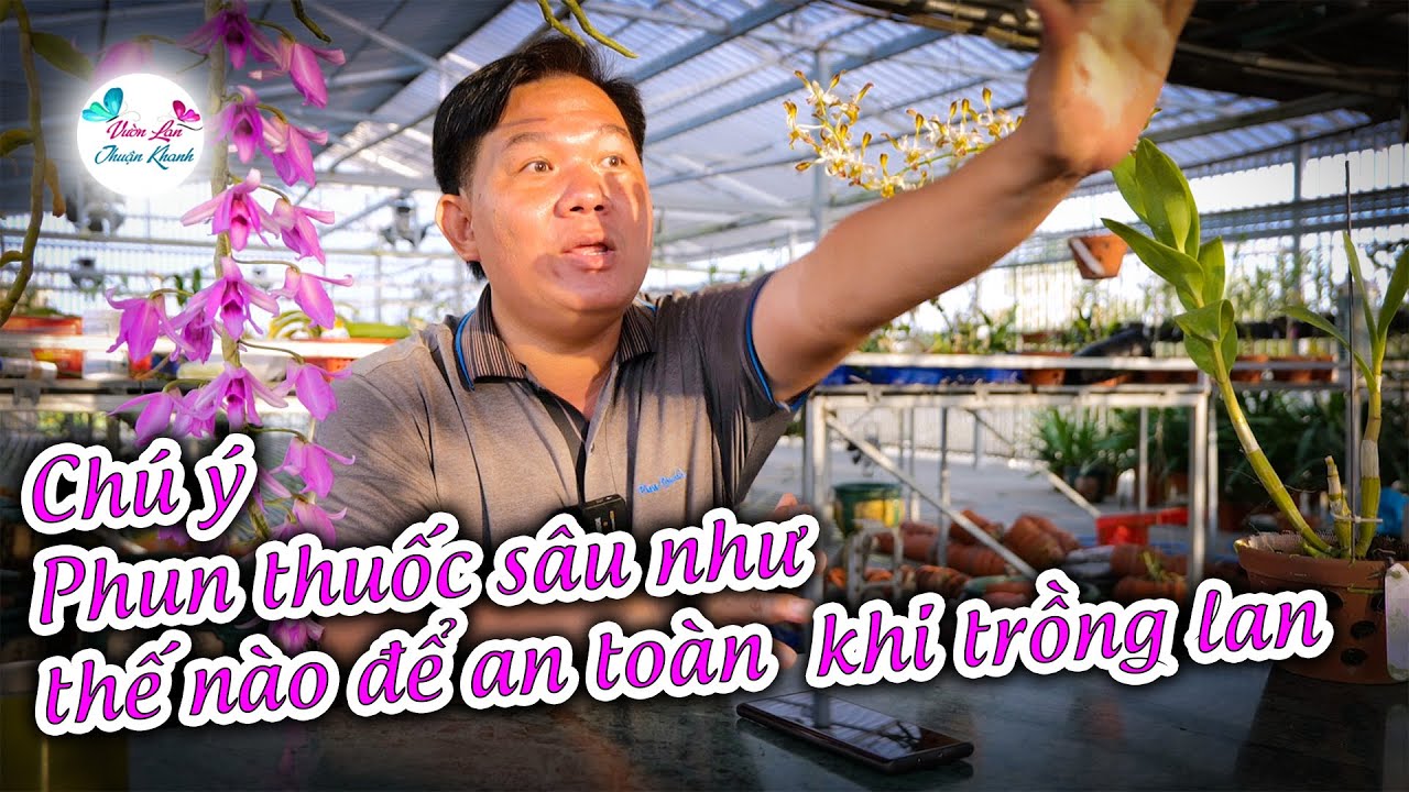PHUN THUỐC HOA LAN NHƯ THẾ N&Agrave;O AN TO&Agrave;N V&Agrave; HIỆU QUẢ