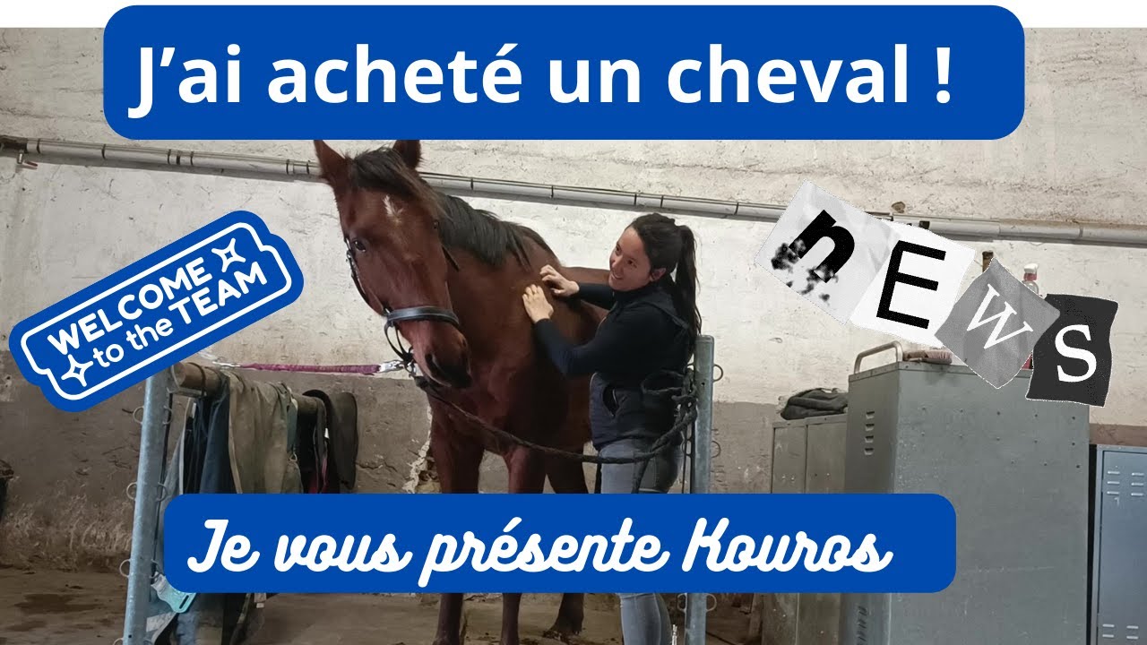 J'ai acheté un nouveau cheval