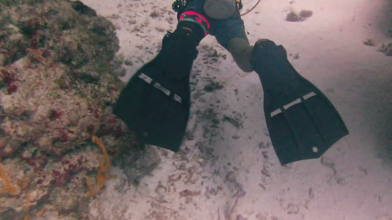 First time diving in Cozumel!