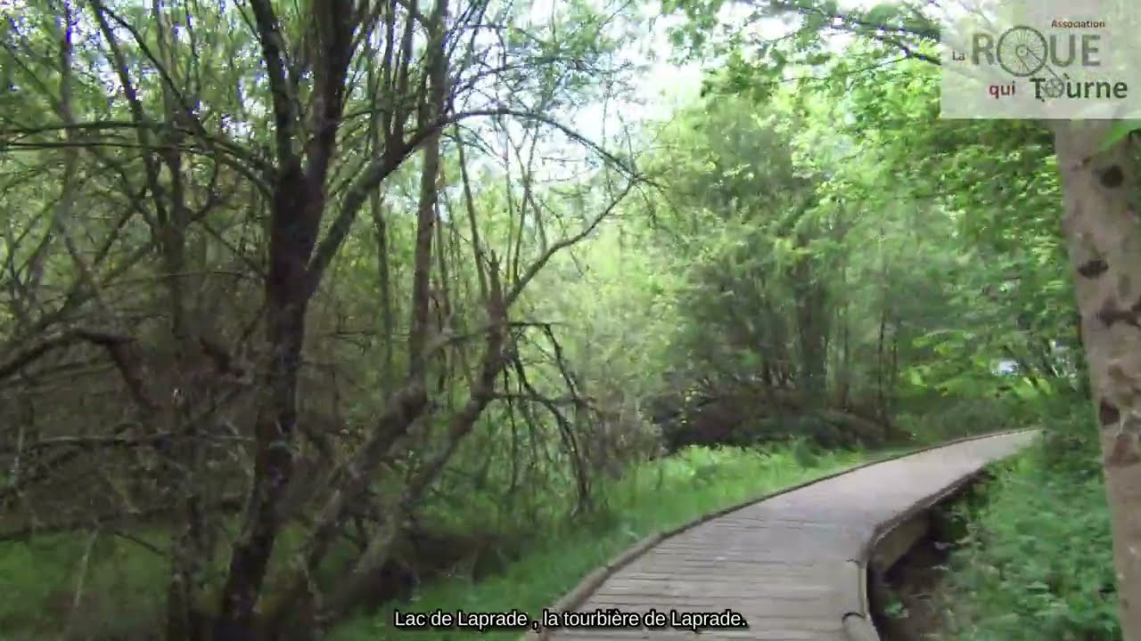 visite de 5 lacs de la montagne noire