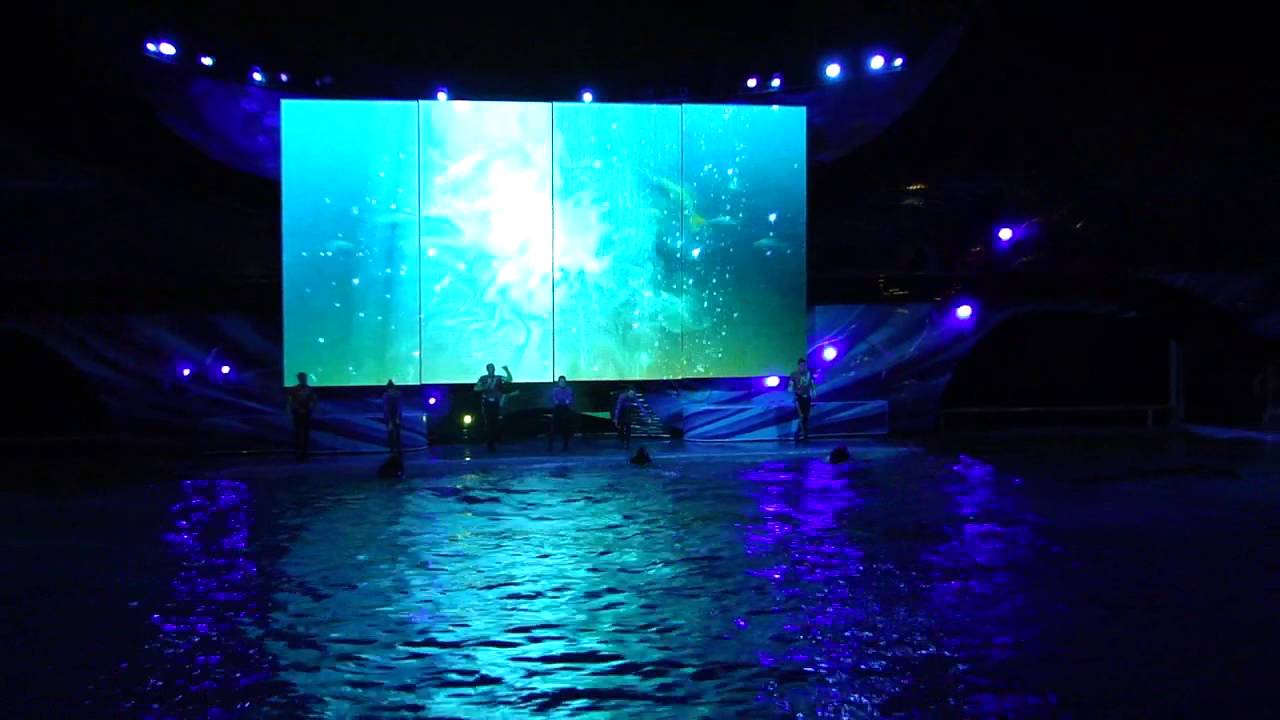 Shamu Rocks at SeaWorld Orlando - 2013 Version with Fireworks (FULL SHOW)