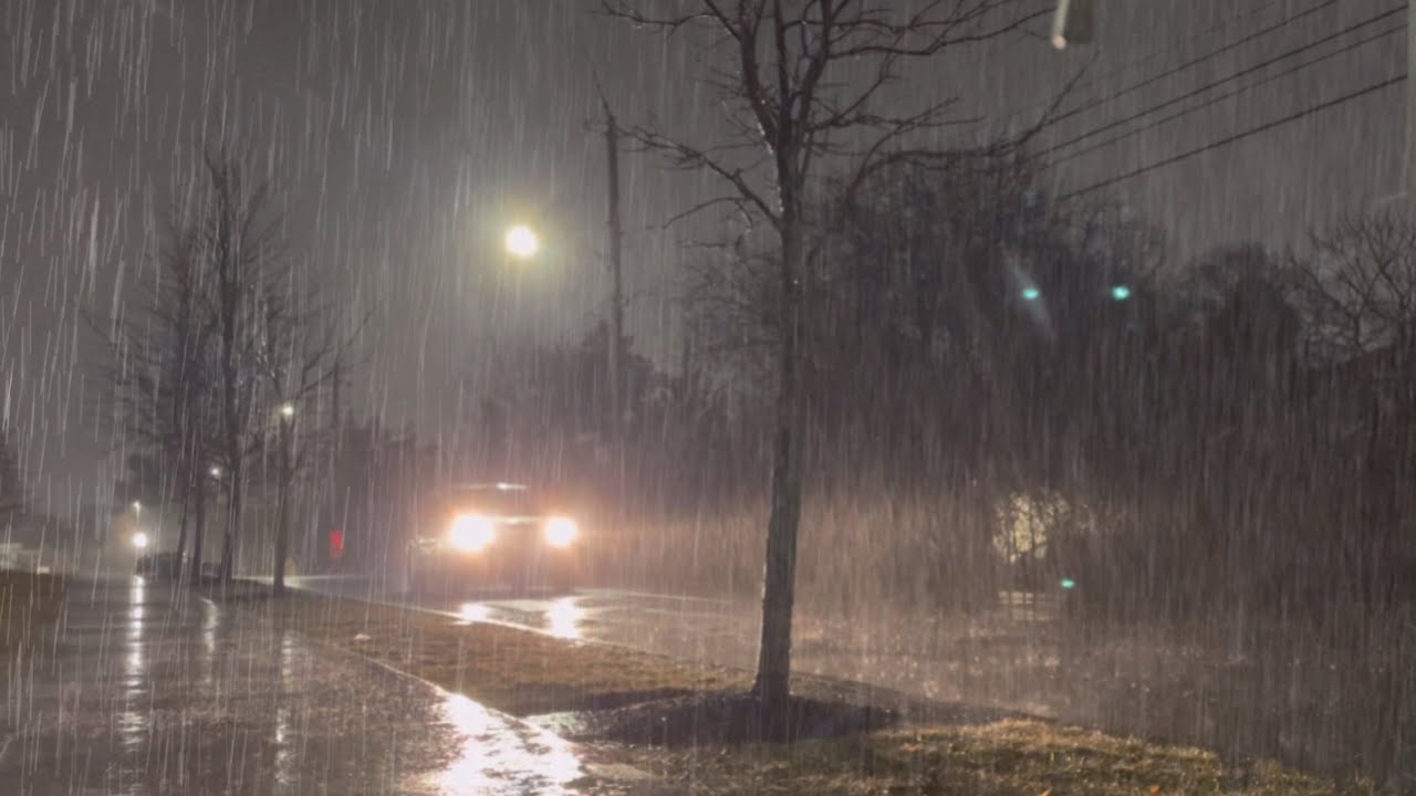 Unreal Natural Rainfall 🌧️ 3 Hours of Pure Relaxing Sounds