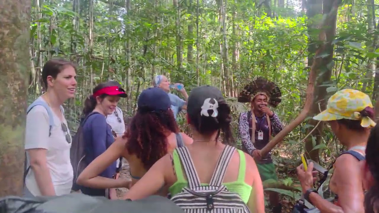 SE O AVIÃO CAIR, COMO SOBREVIVER NA SELVA