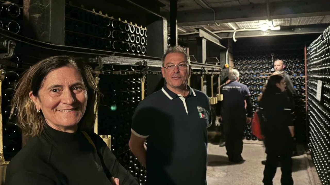 Tour Cantina Lungarotti 2024