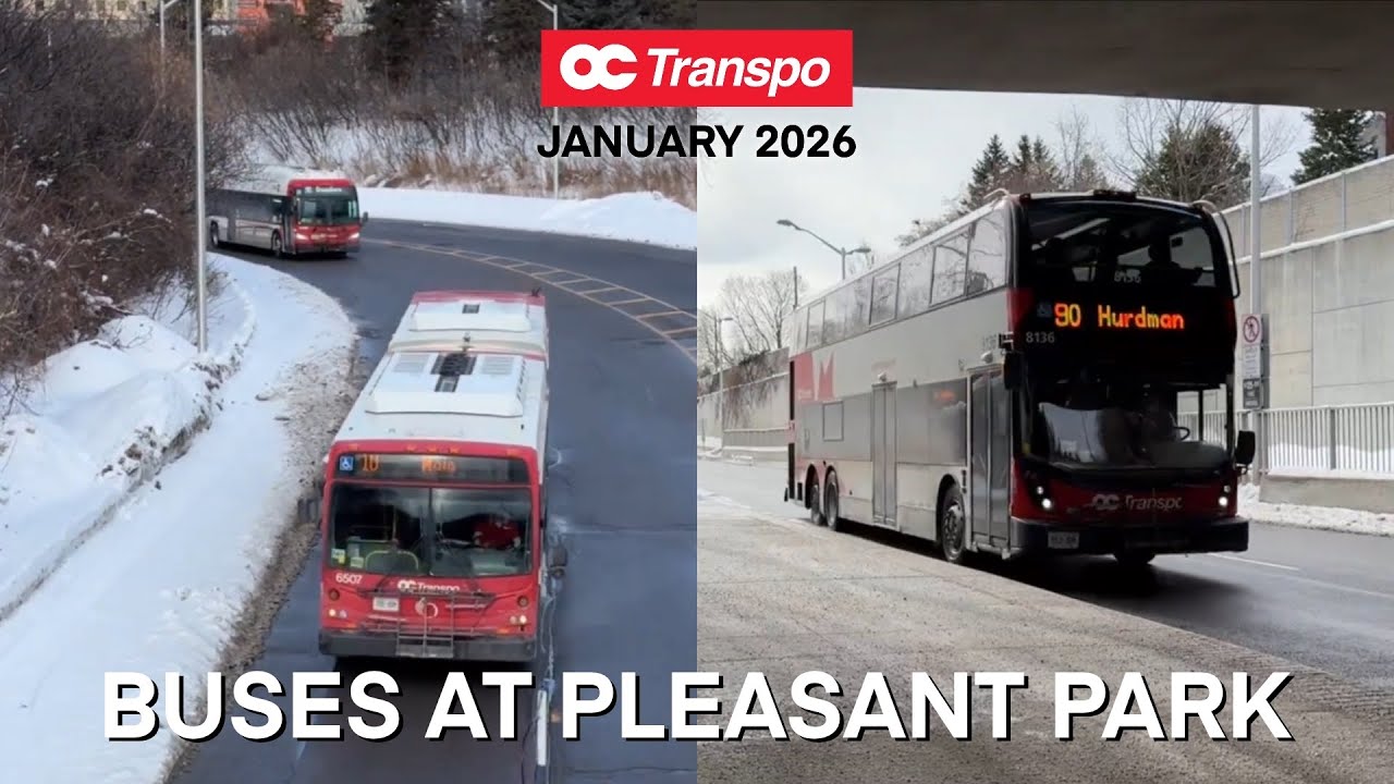OC Transpo Buses at Pleasant Park Station - January 2025