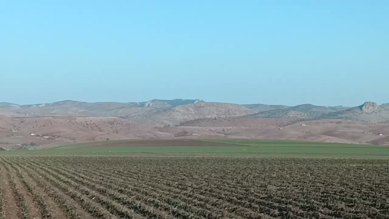 0661467850📳🌲🌿الارض 26هكتار نواحي جماعة احلاف قريبة من كارة تابعة لي إقليم بن سليمان