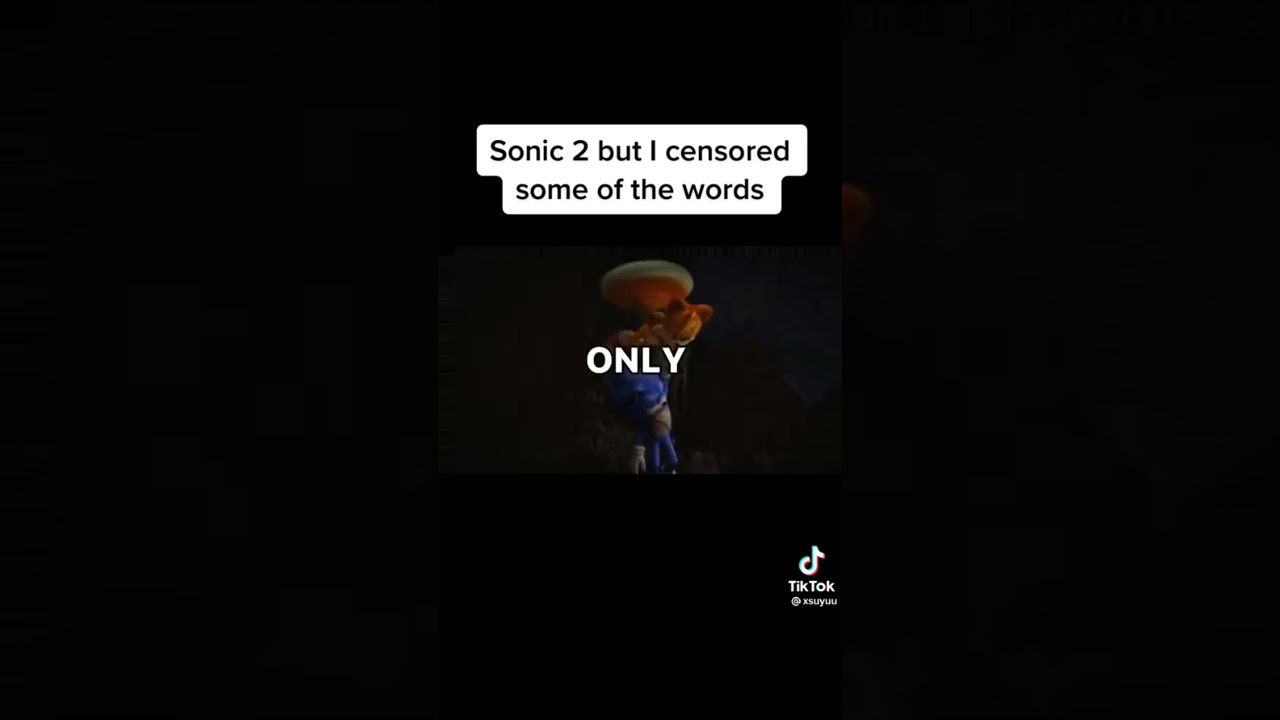 Sonic the hedgehog 2 with censored words