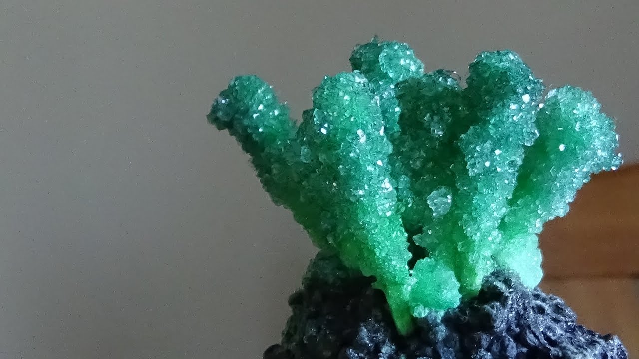 Growing Borax Crystals