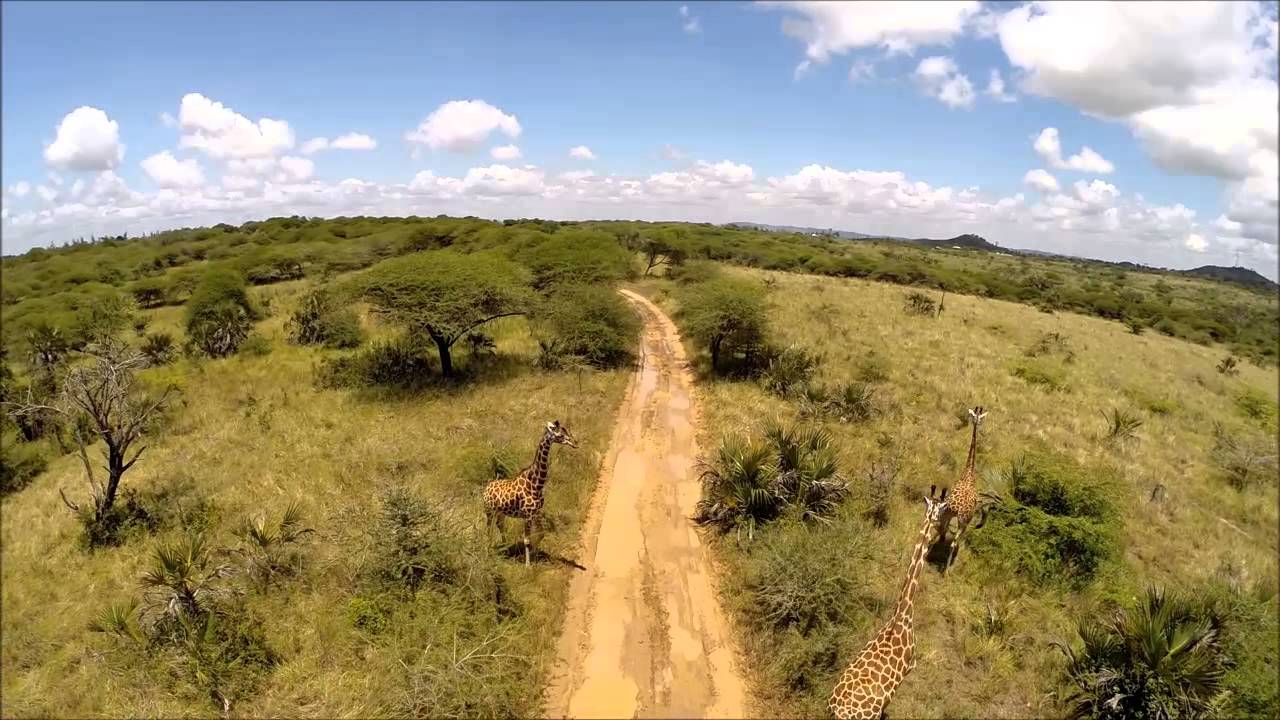 SKY OPINION NGUUNI NATURE SANCTUARY BAMBURI MOMBASA KENYA AERIAL PHOTOGRAPHY