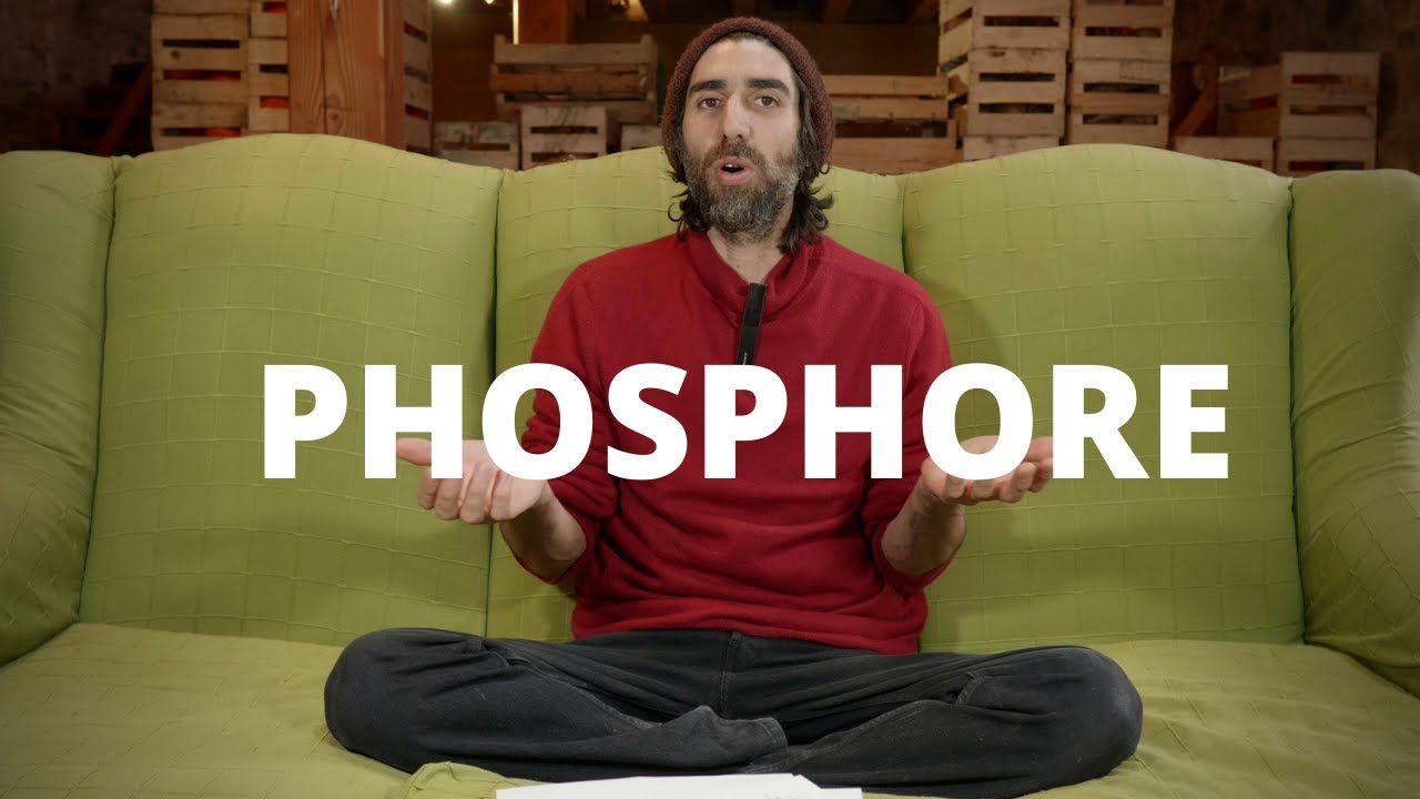 Parlons phosphore et agriculture