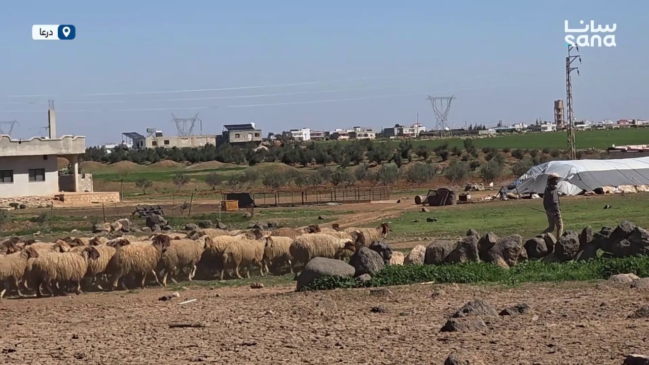 عملية إحصاء شاملة للثروة الحيوانية في محافظة درعا